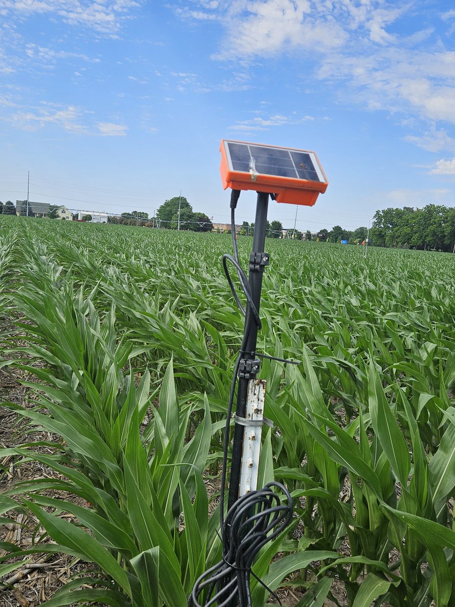 MITLab2024's tweet photo. We are on a good start for 2026 growing season as we get those sensors in the farmer fields. When sensors are correctly installed, data is put in hands of farmers to make better informed irrigation decisions.@wcreec @UNLExtension @UNL_BSE https://t.co/k3KVa6lwZv