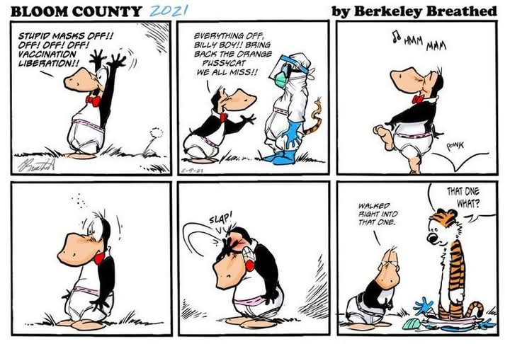 CAEDALPE's tweet photo. #Comics #BloomCounty #CalvinandHobbes https://t.co/wCEwEWSB0h