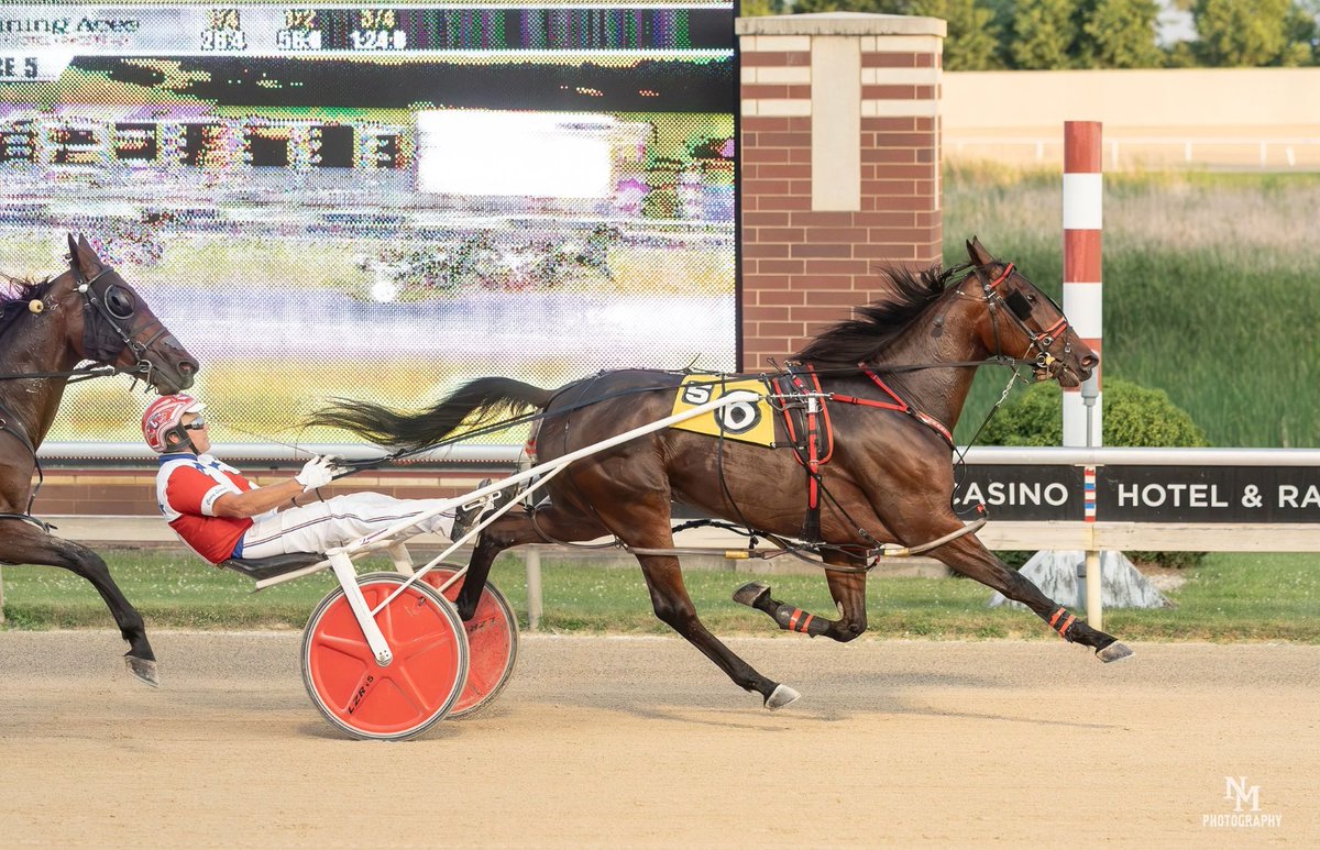 harnesselite's tweet photo. 🏆 Cash Money Twenty extends his winning streak to **5 straight victories** at Running Aces!

🐎 Bombi also broke through with his **first career win**, stopping the clock in **1:54.3**.

https://t.co/3taavmxxsC

#Standardbred #RunningAces #HorseRacing #CashMoneyTwenty #Bombi https://t.co/TS3sBvdBlc