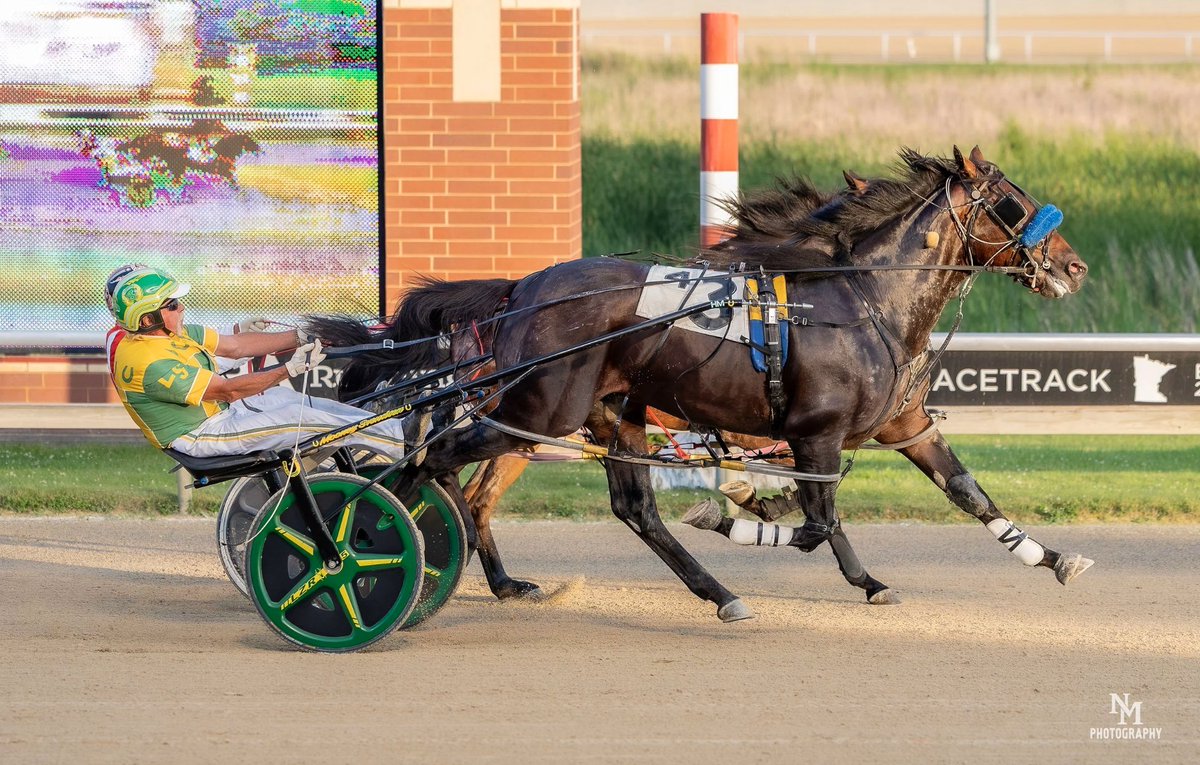 harnesselite's tweet photo. 🏆 Cash Money Twenty extends his winning streak to **5 straight victories** at Running Aces!

🐎 Bombi also broke through with his **first career win**, stopping the clock in **1:54.3**.

https://t.co/3taavmxxsC

#Standardbred #RunningAces #HorseRacing #CashMoneyTwenty #Bombi https://t.co/TS3sBvdBlc