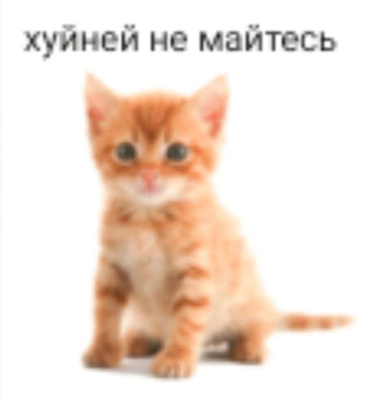sekipeq's tweet photo. Уже прошёл месяц лета. https://t.co/9o2vY05idB