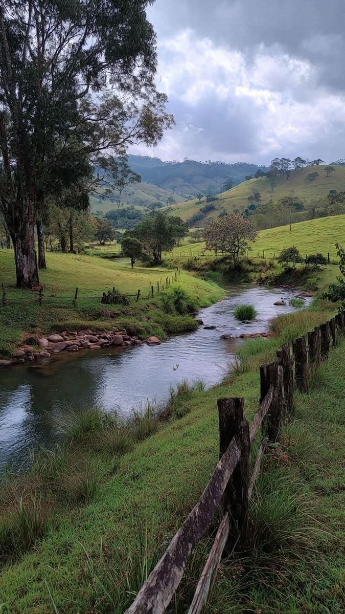 NaturalEye78321's tweet photo. 📍 Minas Gerais, Brazil 🇧🇷 https://t.co/TxL5hlijdT