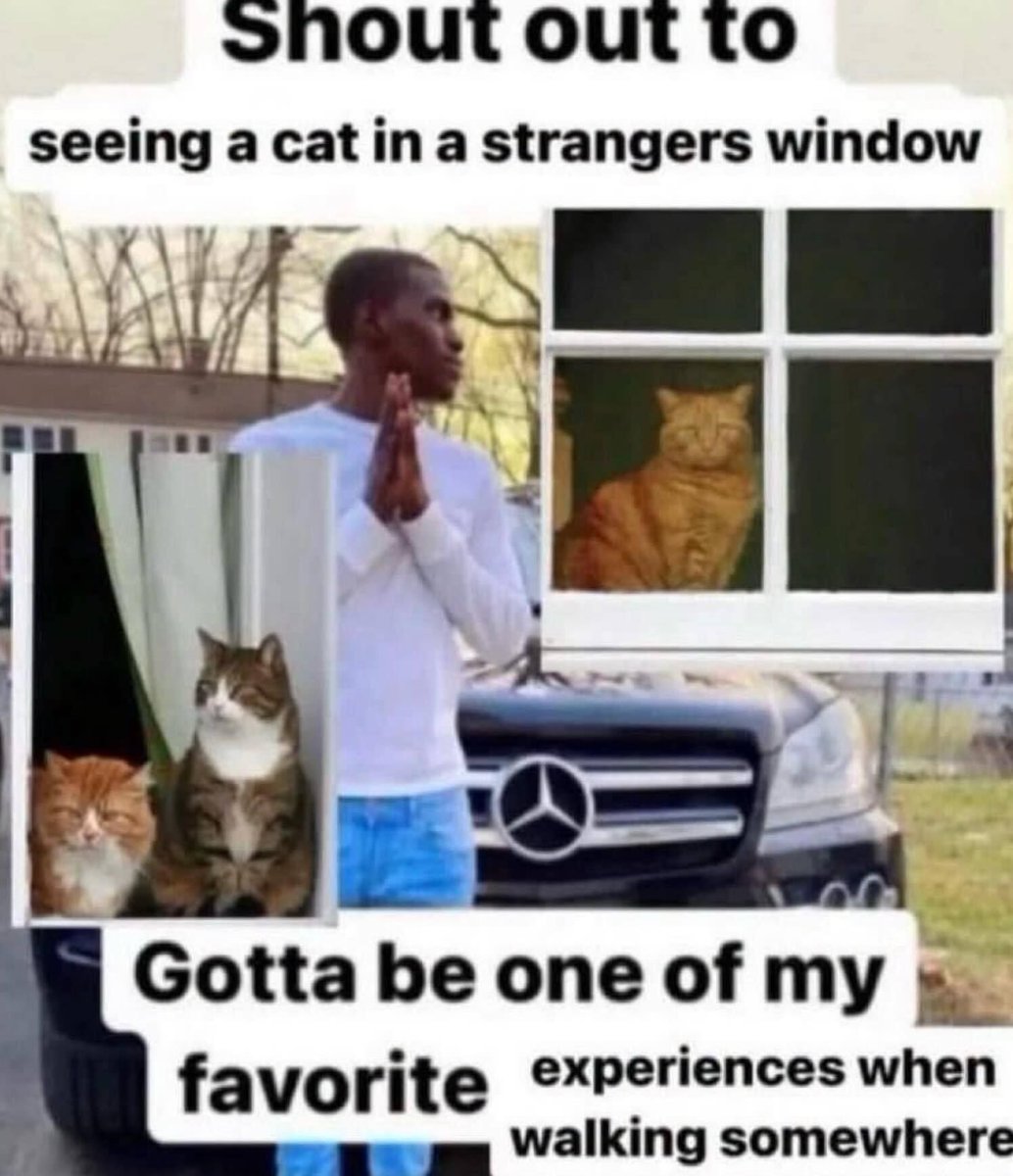 nocontextmemes's tweet photo. https://t.co/FWGzEQvi4x