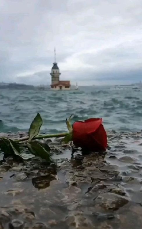 historical4545's tweet photo. Nelerden vazgeçmiştim senin için.
Meğer bir hiçmişim ben senin için. https://t.co/beC0LgNJVe