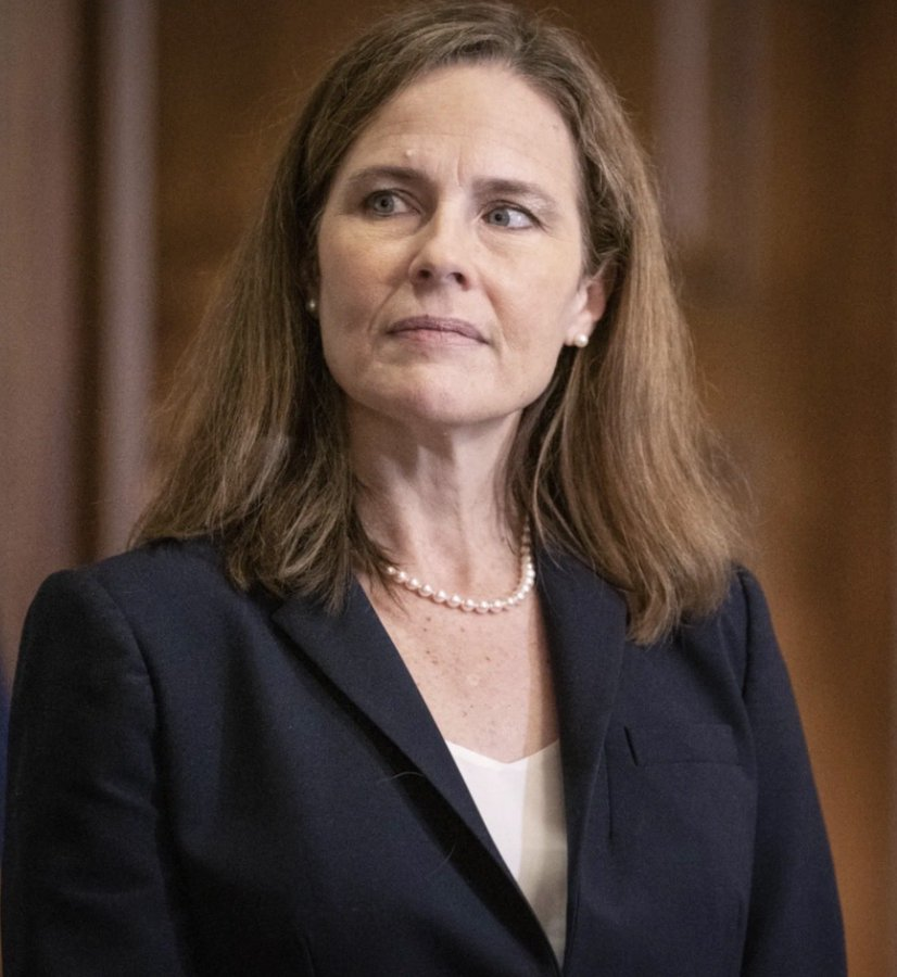 chickshd's tweet photo. FROM HERO to ZERO~ Tell Congress to stick it back up her ass, by passing a new law or amending the current one! 💯👀🤥🤨🫏🏛️🥸