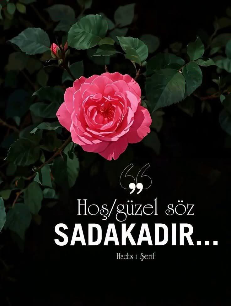 Zeyno0017's tweet photo. Nezaket " kelimeleri  " merhamet " ise insanı güzelleşirir..🌺🌺🌺🌺🌺🌺🌺 https://t.co/l238alYssg