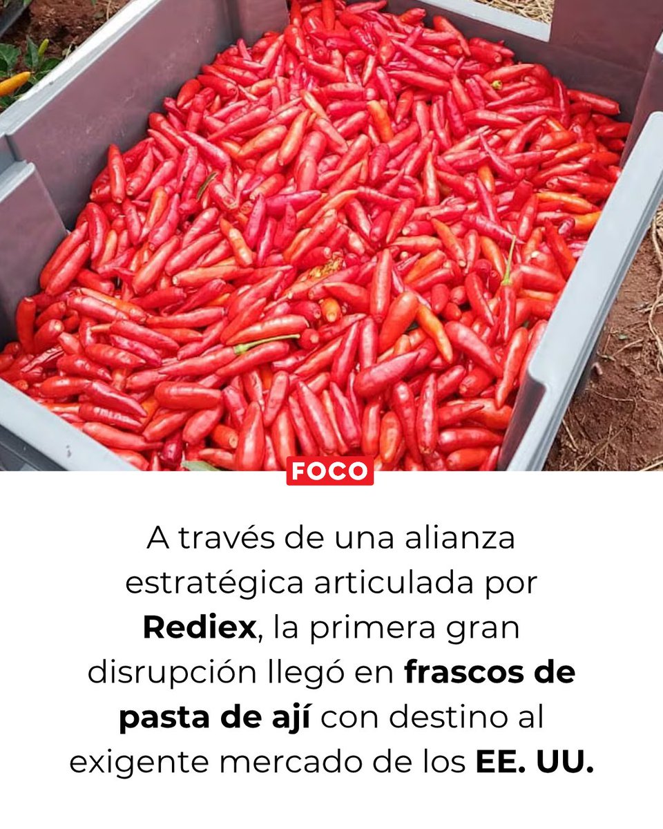 RevistaFocoPy tweet picture
