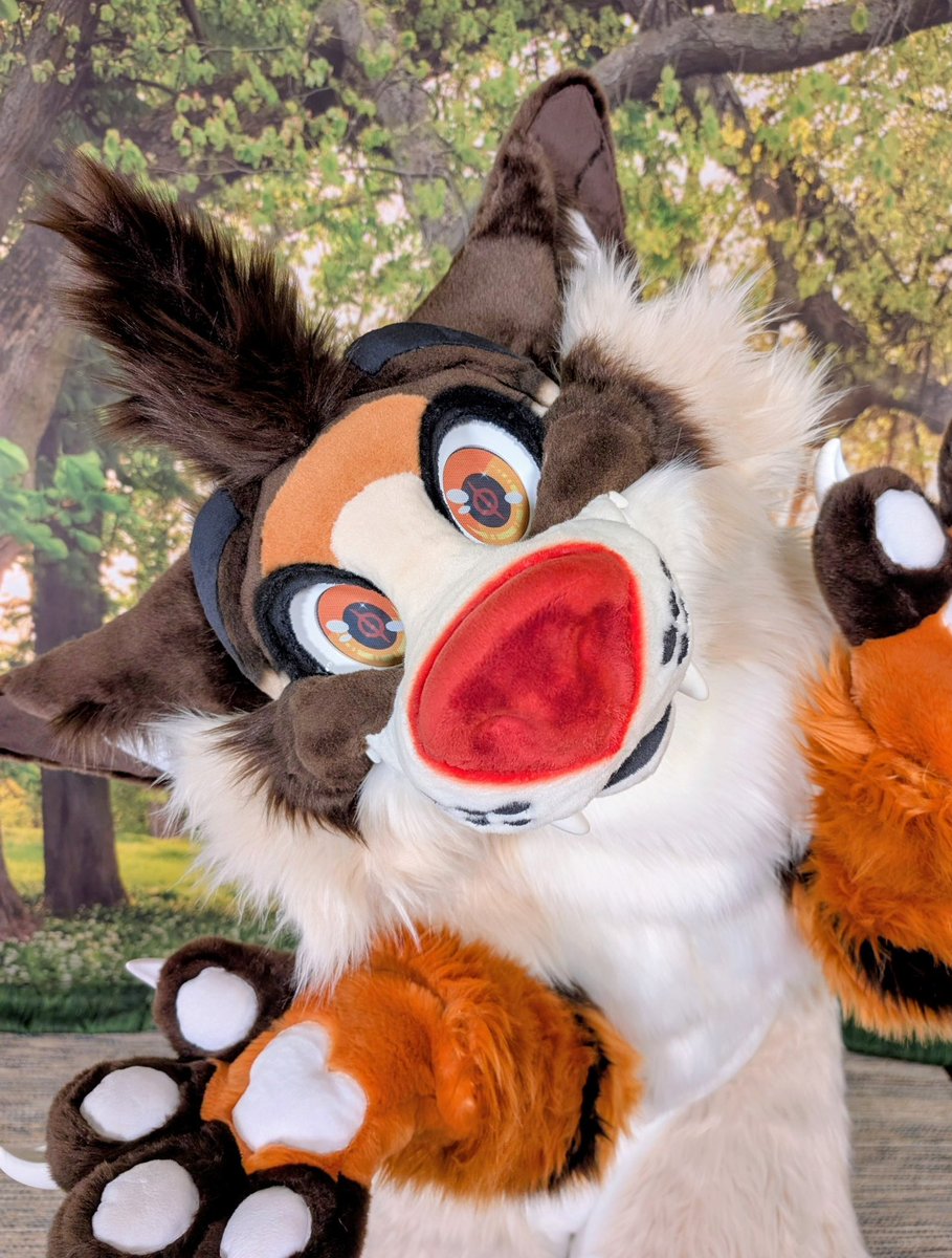 Archie 🔜 BLFC tweet media