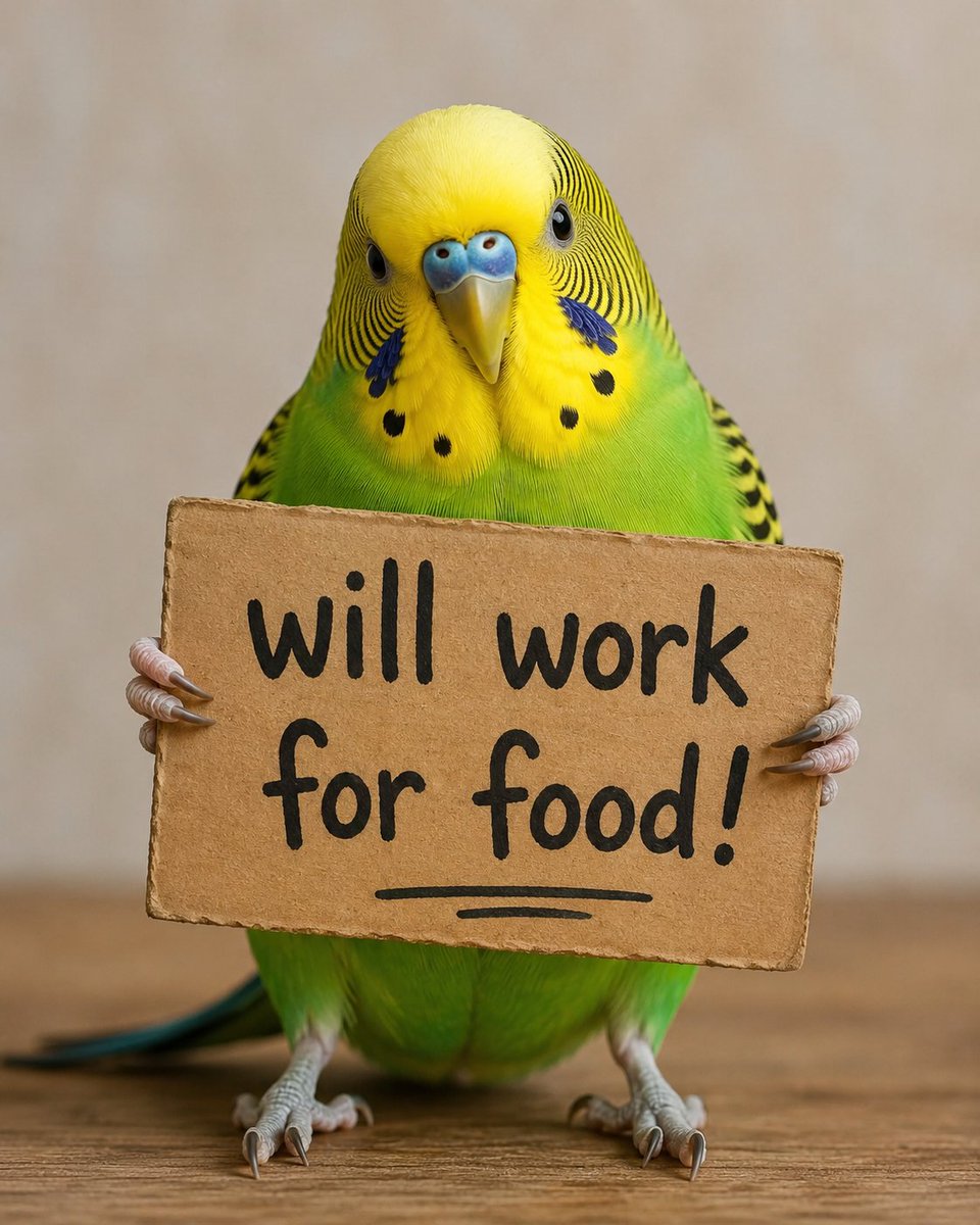 BigBroStudio369's tweet photo. @TheLadyCrypt0 That would be great but I am broke, can't even feed my parakeet. However if you want to be cool and help a extremely poor and deeply depressed brother, you can promote me just a bit, and when I start making money, I'll hire you. https://t.co/NWAPdssD4B