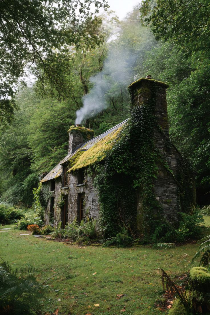 NaturalEye78321's tweet photo. 📍 Killarney National Park, Ireland 🇮🇪 https://t.co/w8I6AYFB6q