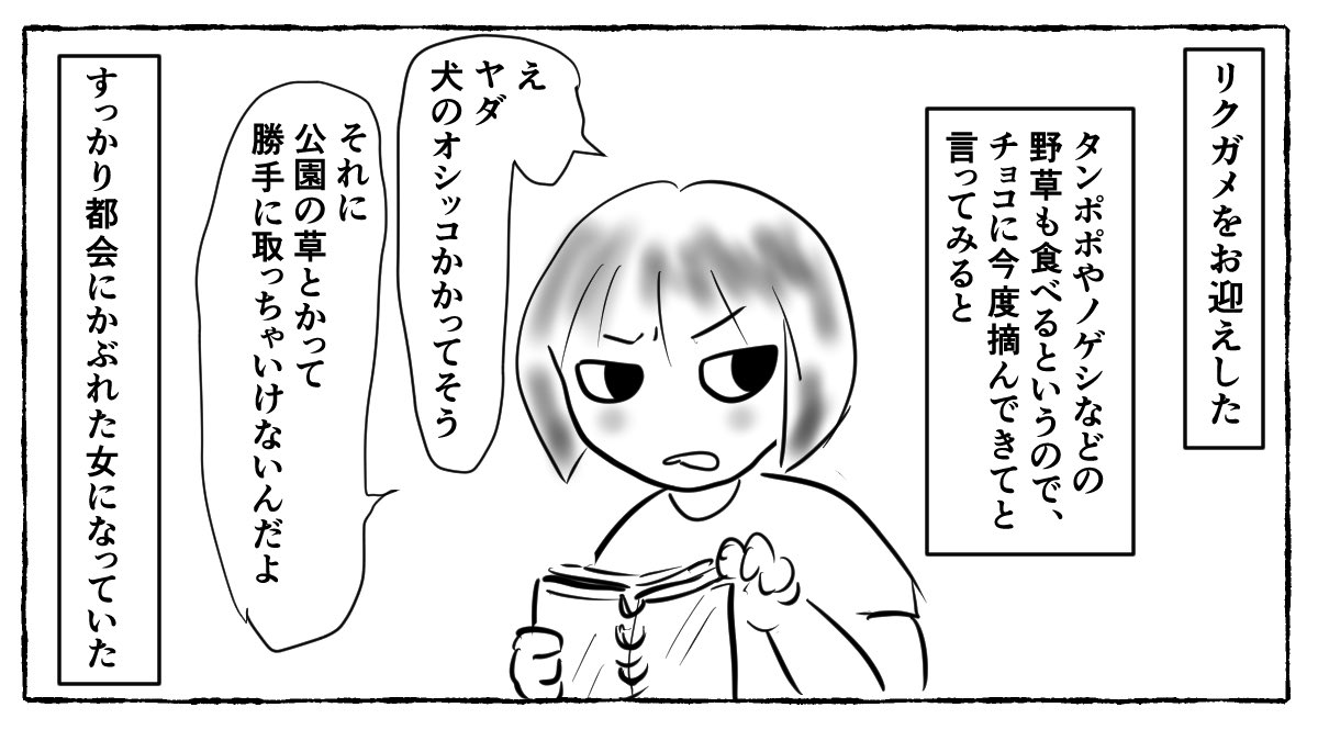 kabeuchi_sachi's tweet photo. 世界の解像度が上がるし、情操教育にも打って付けだと思ったのに(道端のばっちいもの触るなと教育した責任は感じている) https://t.co/j8h1bsm6Gh