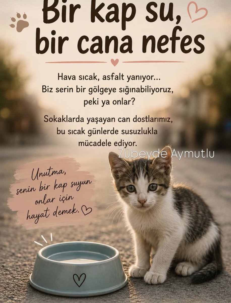 gbirkan2007's tweet photo. https://t.co/OcuITF4PuP