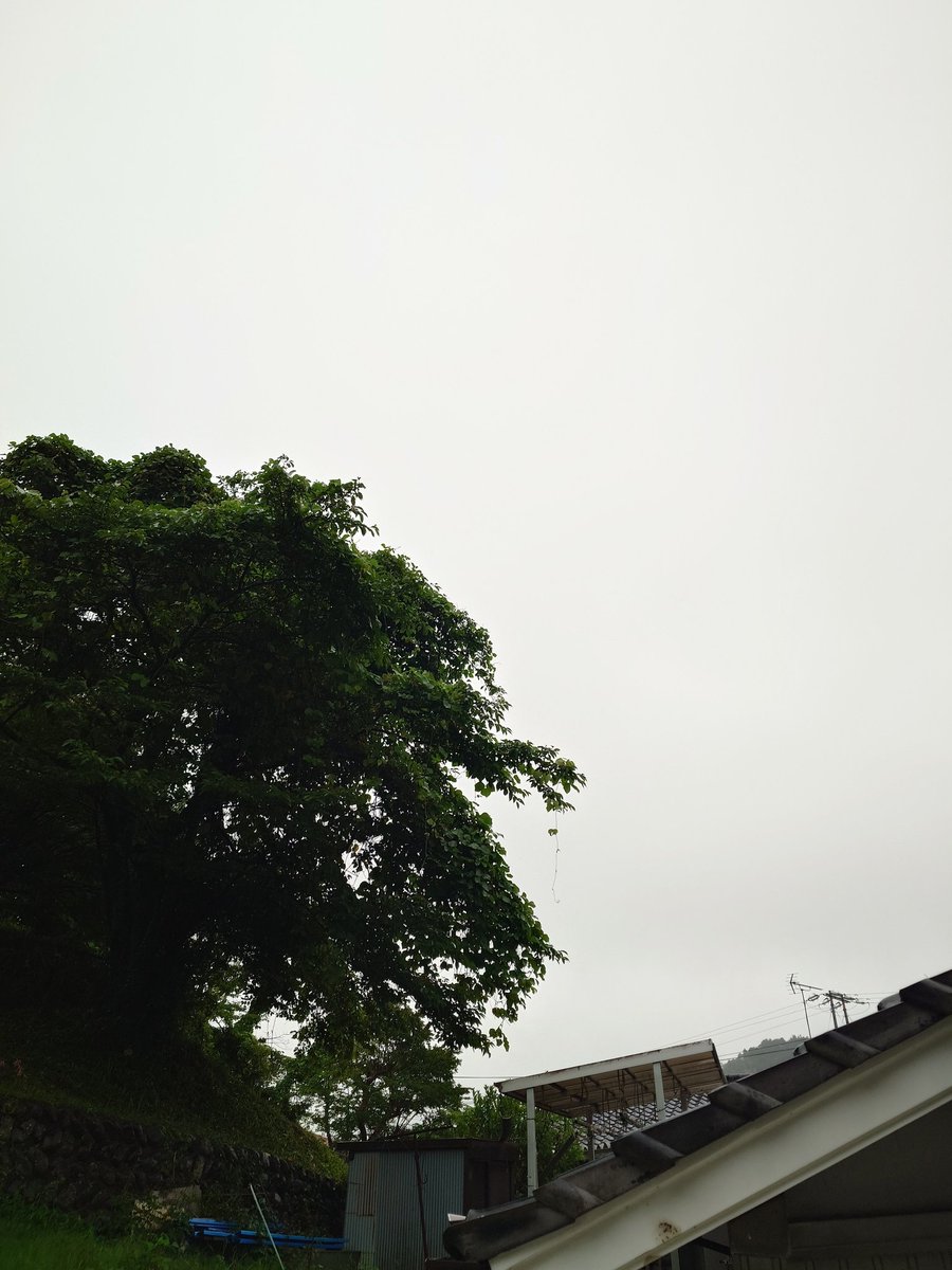 itoutosouten's tweet photo. おはようございます!
本当に死神は身構えている時は忍び寄って来ない!と実感する事があった。さて、死神は去ったのだろうか?
それでは皆様、今日もご安全にお過ごし下さい!
#おはよう
#GoodMorning
#Blessyou https://t.co/jq8aAlylDa