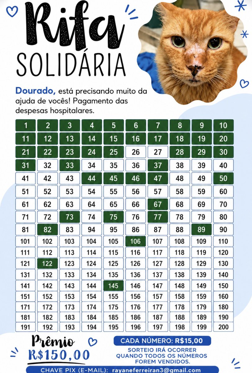 ajudeodourado's tweet photo. Meu gato felv + está internado com pneumonia e doença renal. Preciso quitar as diárias (R$ 290) os gastos são muito altos! Ele precisa de ajuda URGENTE para não sair da internação! Você pode me ajudar compartilhando, doando ou comprando na rifa? 🙏🥺

🔑rayaneferreiran3@gmail.com https://t.co/JL229K3pJJ