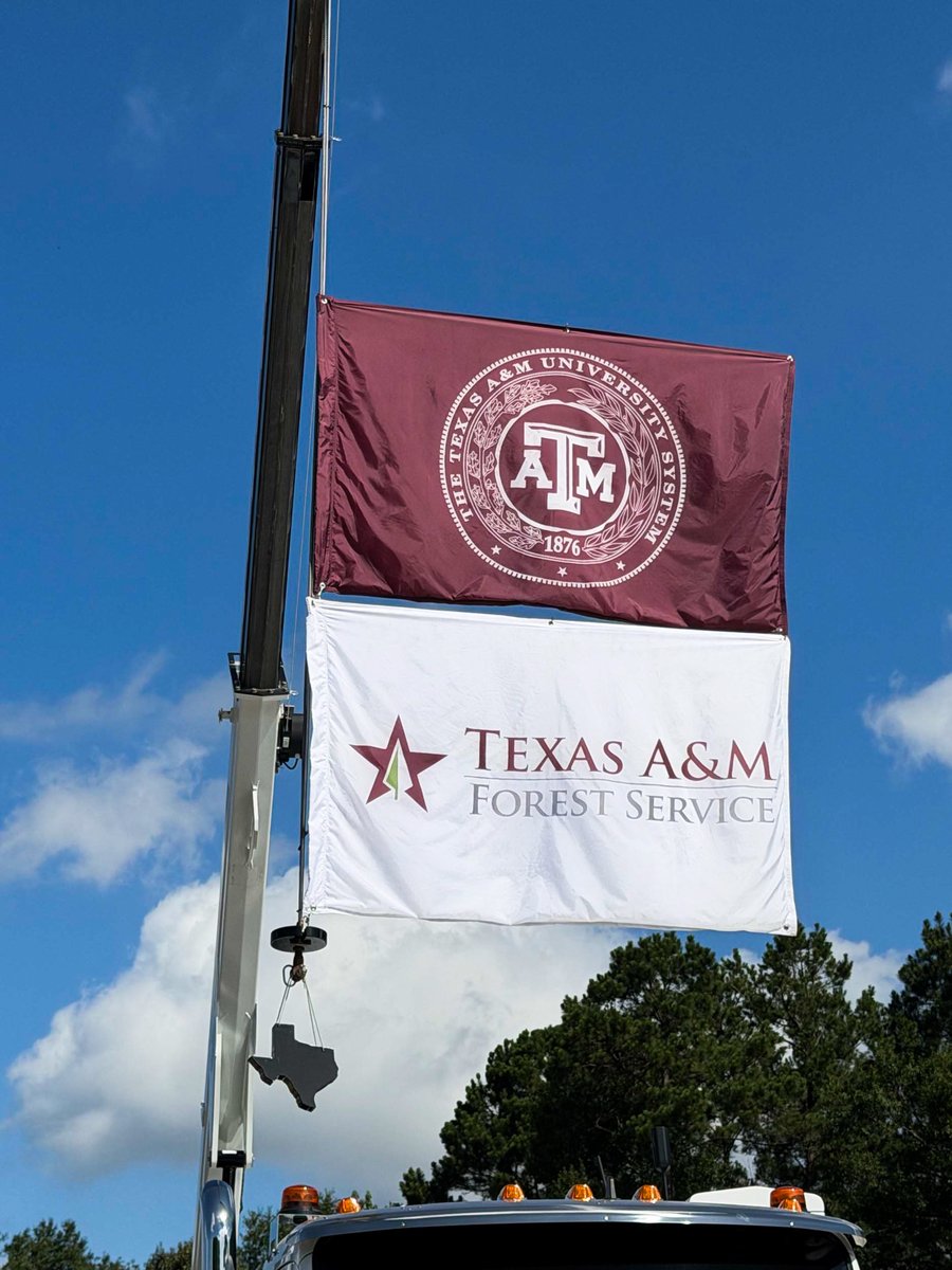 Texas Forestry Association tweet media