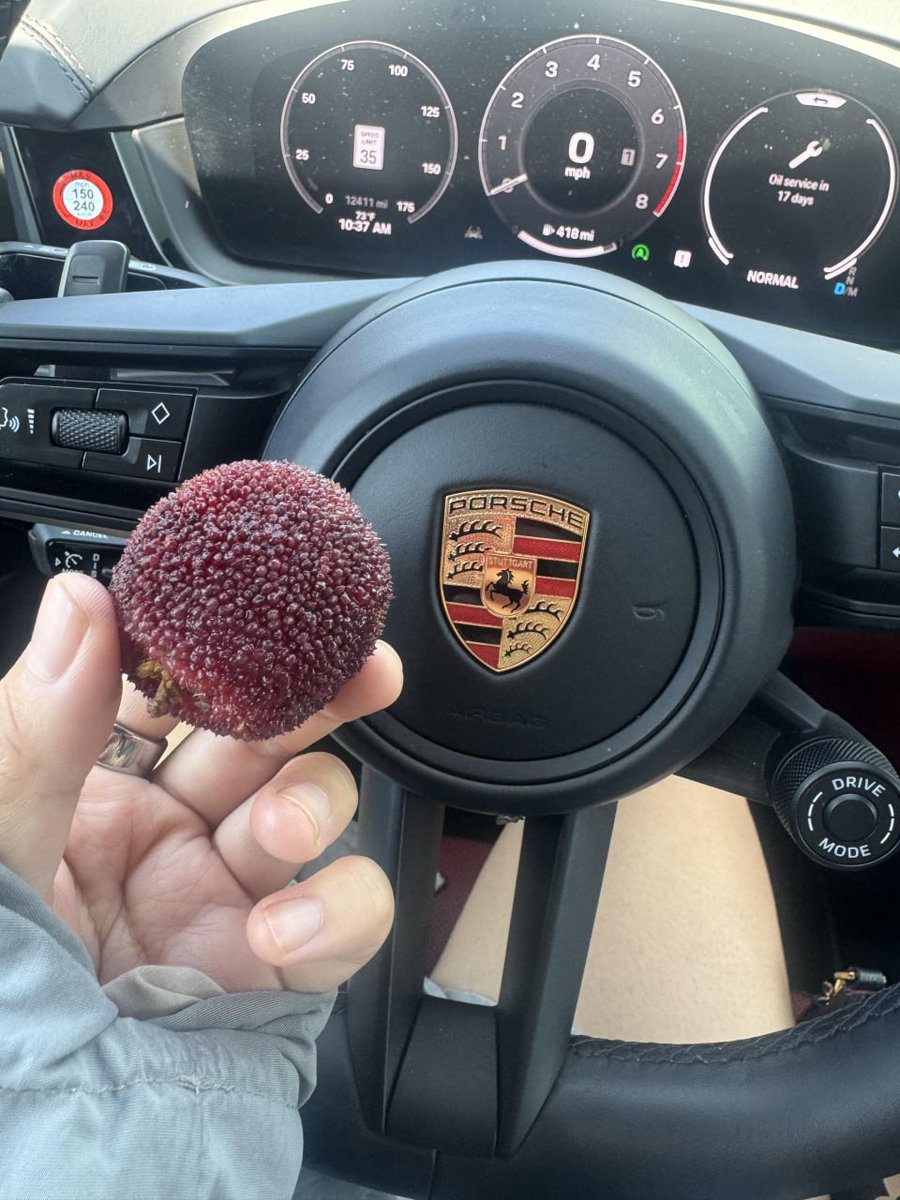 ArjunSa44895756's tweet photo. Today got some my favorite bayberries ❤️🎊 https://t.co/8PmVWzA40a