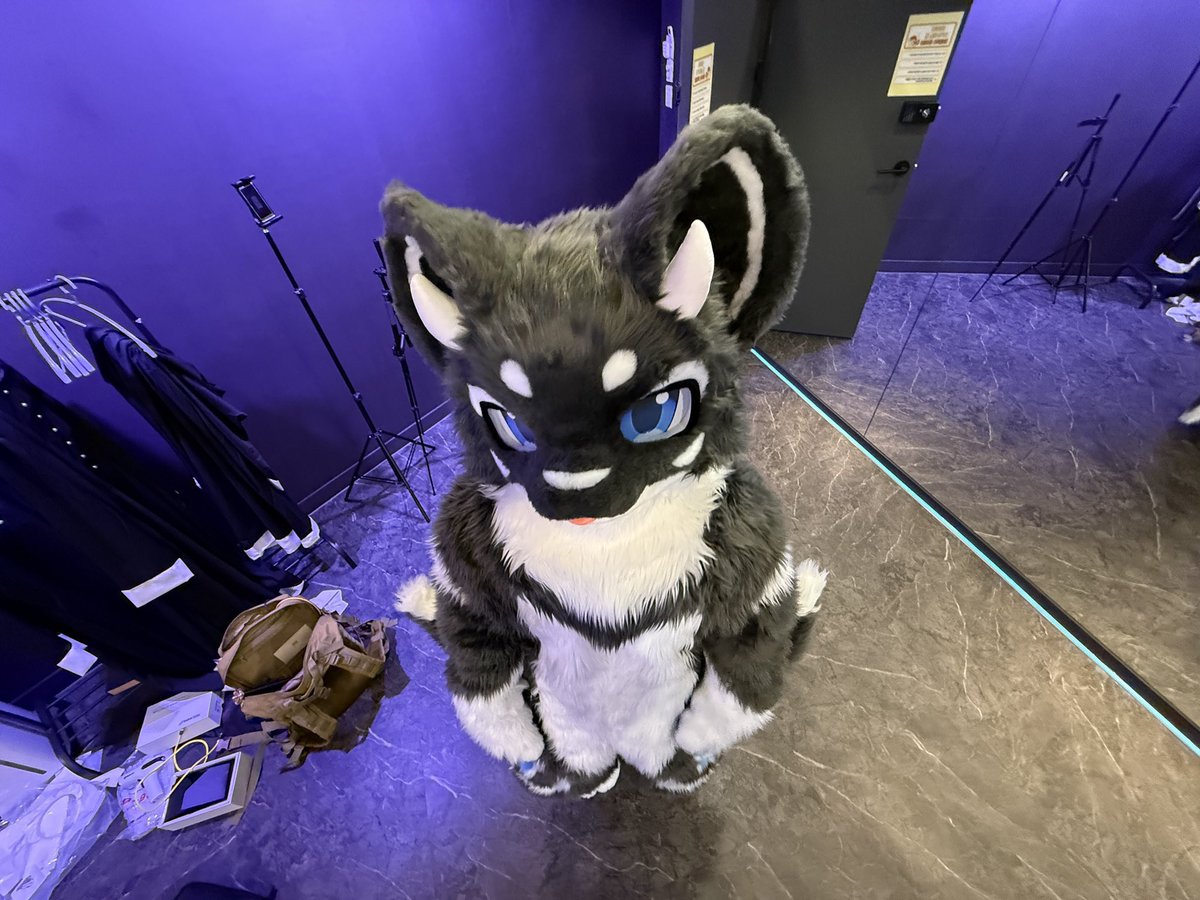 dalruk_fursuit's tweet photo. #이거_본_사람_강제로_키_공개

2미터 조금 안되는 165. https://t.co/B197hpHhOg