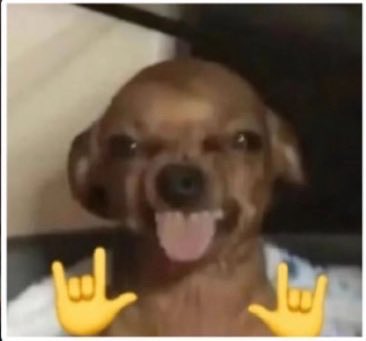 LBredofw's tweet photo. Eu vou ser a pessoa mais feliz do mundo amanhã fodase todos vcs pra mim tudo pra vcs nada https://t.co/gToODwoulN