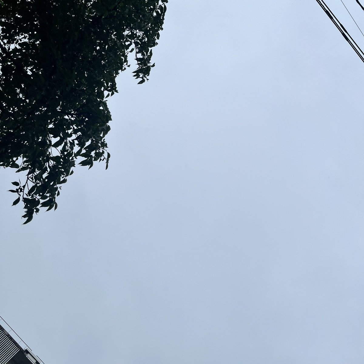 kobari_77's tweet photo. おはようございます☔️ https://t.co/h1jTVtJFPn