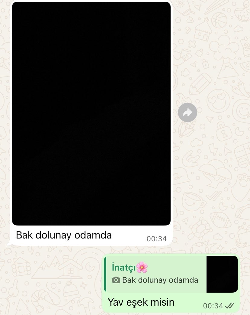 sizer_diren's tweet photo. Merkür dolunay zart zurt kardeşim artık gitsen mi acaba https://t.co/5inqXTEv8F