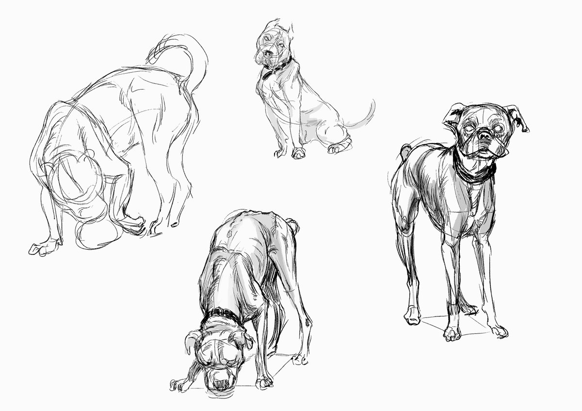 VitorCardosoArt's tweet photo. desenhos com linhas bem soltas , eu poderia ficar horas e horas fazendo desenhos assim ... https://t.co/M9qvFYu1U0