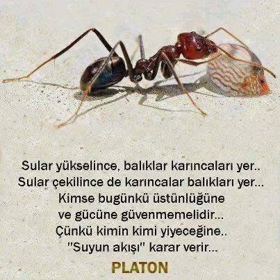 srpl_ykl's tweet photo. https://t.co/IAxMzMZJKP