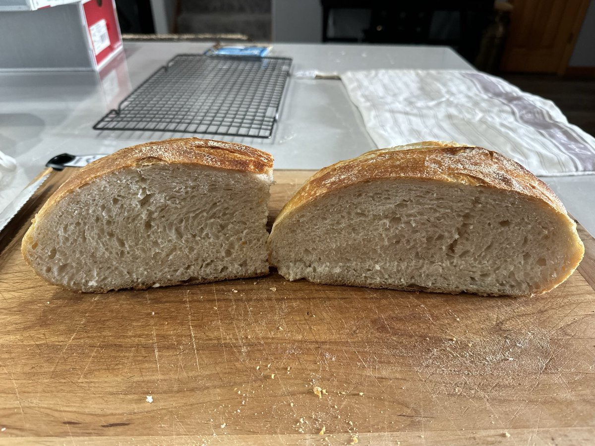 reignpnw's tweet photo. @catturd2 They taught me how to make sourdough bread this year! https://t.co/3117a7Ff8H