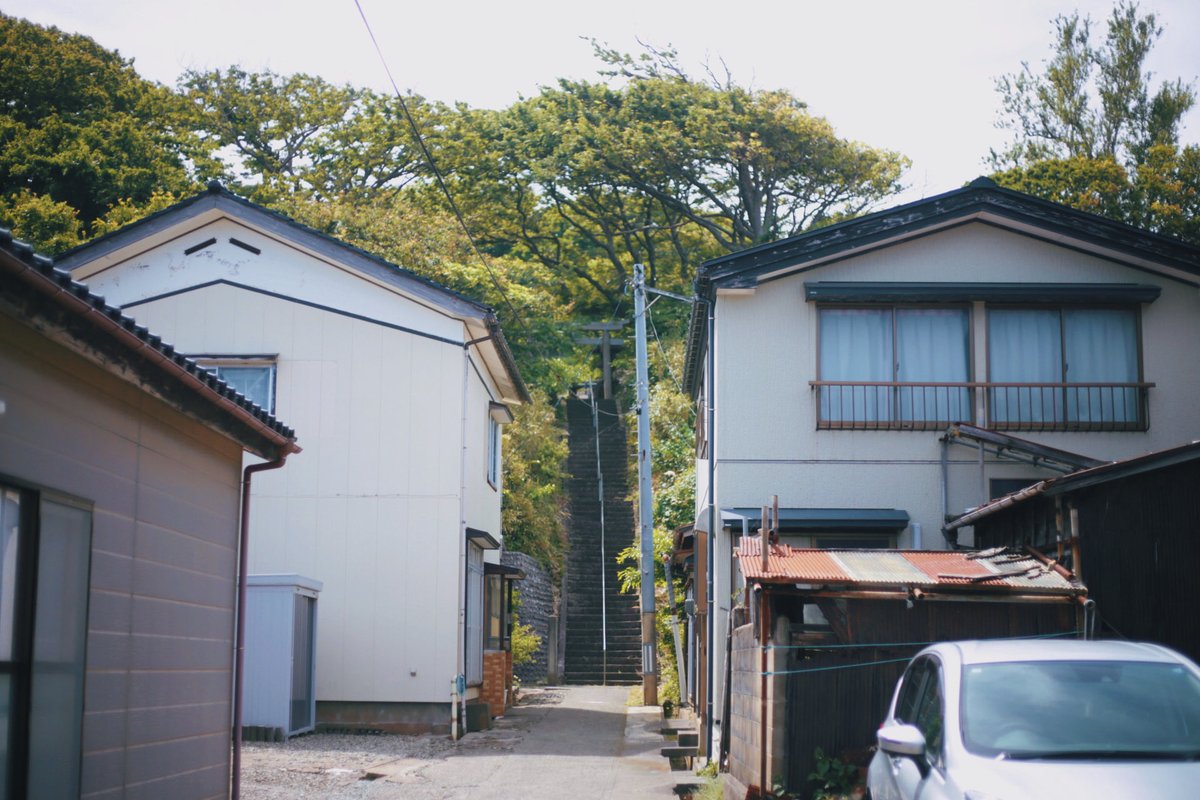 kuwaesawa's tweet photo. snap https://t.co/ztGzQlPWha