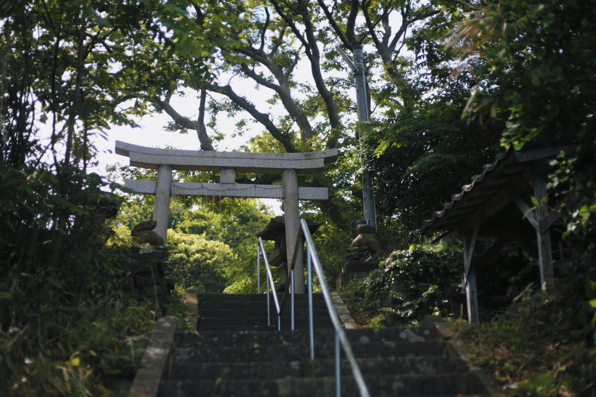 kuwaesawa's tweet photo. snap https://t.co/ztGzQlPWha