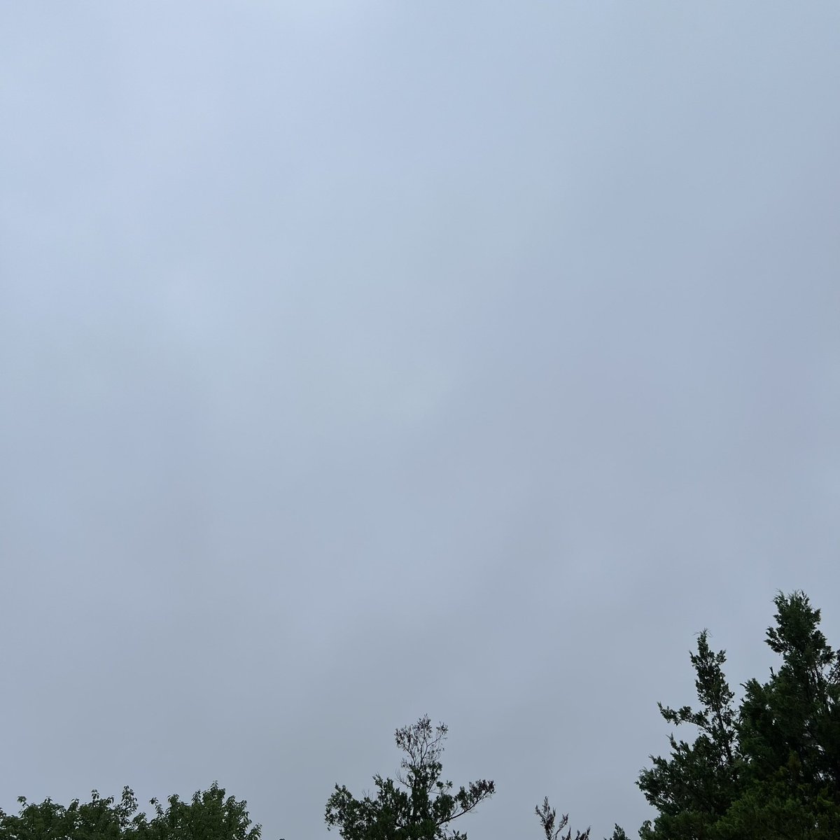 take777_'s tweet photo. おはようございます

空気ムシムシ　天気は雨☂️
強く降ったり弱く降ったり
午前中はずっと雨らしい
昼過ぎから晴れる☀️らしい
午後から蒸し暑くなるらしい

今日も元気に頑張りましょう
٩( 'ω' )و https://t.co/9CvyZ30jfG