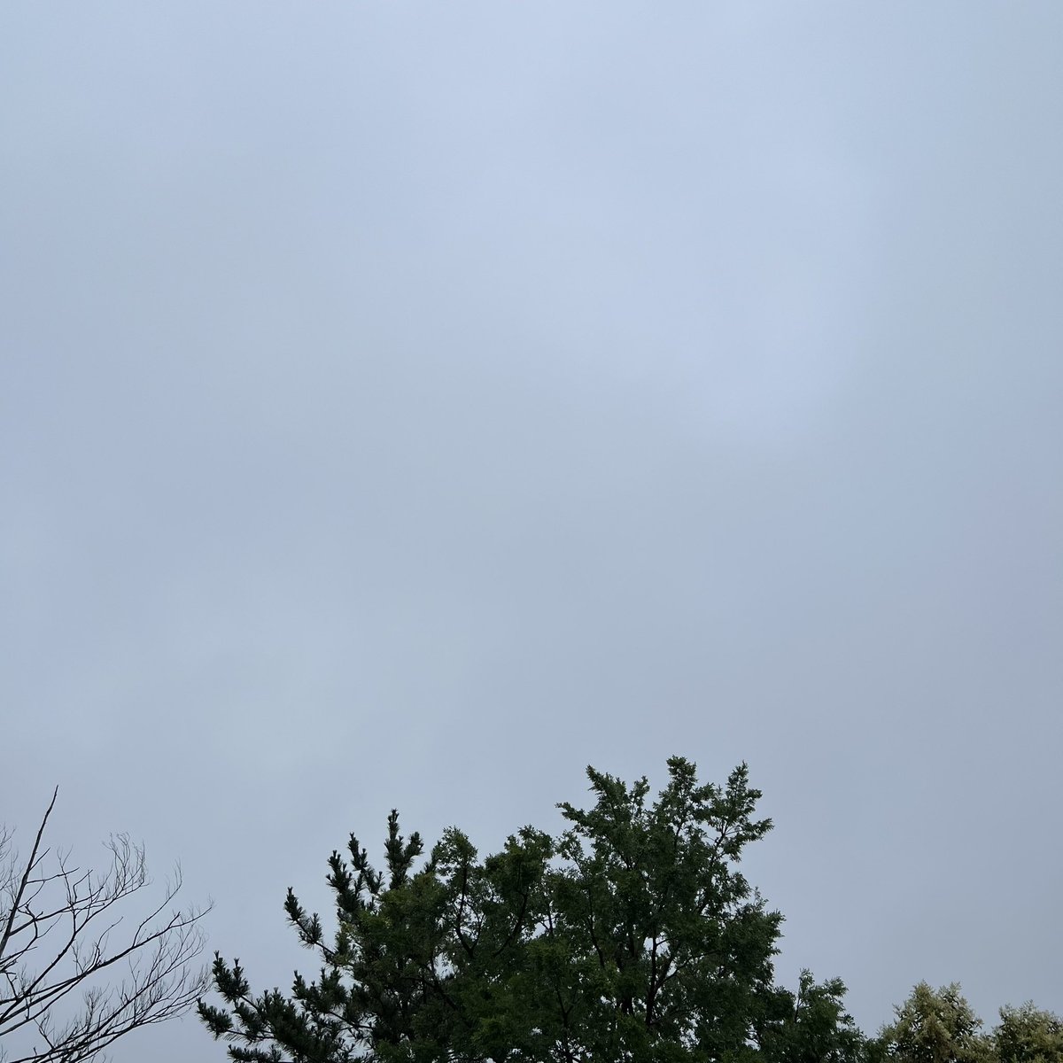 take777_'s tweet photo. おはようございます

空気ムシムシ　天気は雨☂️
強く降ったり弱く降ったり
午前中はずっと雨らしい
昼過ぎから晴れる☀️らしい
午後から蒸し暑くなるらしい

今日も元気に頑張りましょう
٩( 'ω' )و https://t.co/9CvyZ30jfG