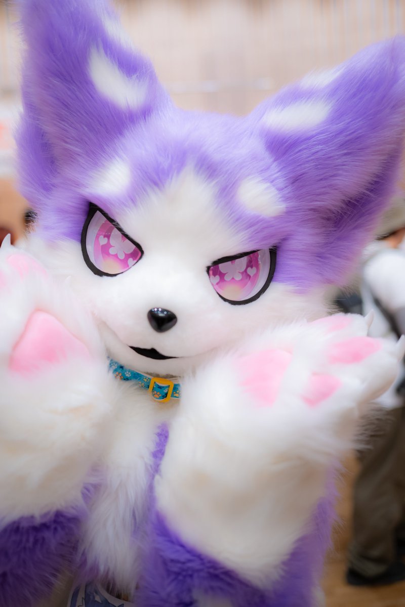 yasan_mofumofu's tweet photo. #fursuiteveryday
#ケモスク https://t.co/0pBEkfYL4q