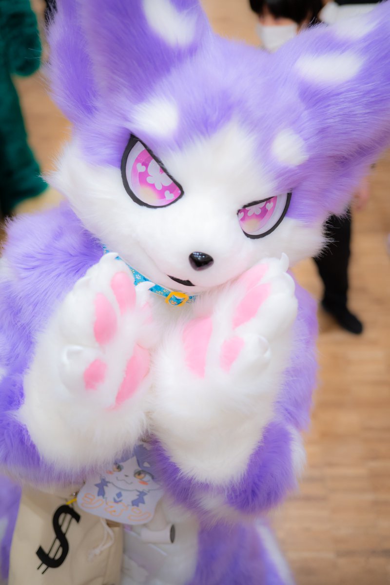 yasan_mofumofu's tweet photo. #fursuiteveryday
#ケモスク https://t.co/0pBEkfYL4q