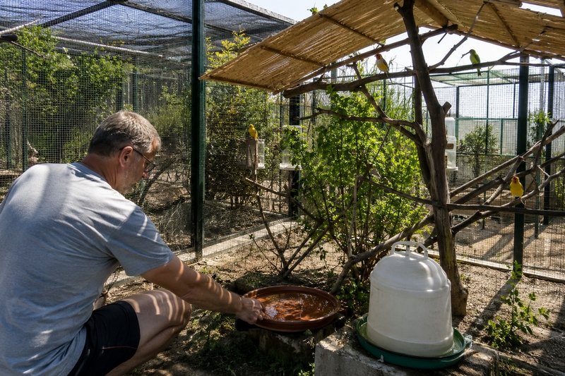 PronaturaF's tweet photo. Canicule : une vigilance renforcée pour le bien-être des animaux.
Alors que plusieurs départements ont connu de fortes chaleurs et vont probablement revivre le même épisode caniculaire, les éleveurs sont invités à redoubler de vigilance.
https://t.co/J4bkloabZS https://t.co/EUlHIiXtuS