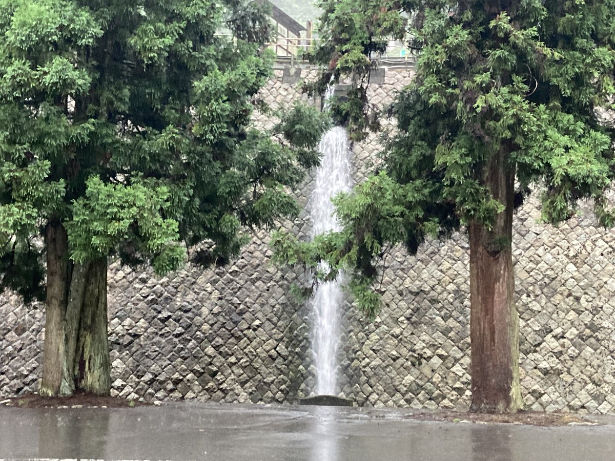 hieizan_way's tweet photo. 7月2日（木）雨　7:00
今日も雨水が排水路から元気よく
滝のように流れていました。
＃比叡山 https://t.co/MGj8TeuknL