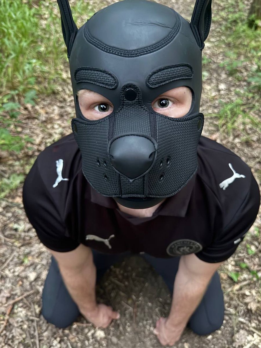 goodboyrylie's tweet photo. Who, me? I wouldn’t dream of causing trouble… 😇✨ https://t.co/t7m5qg7BRh