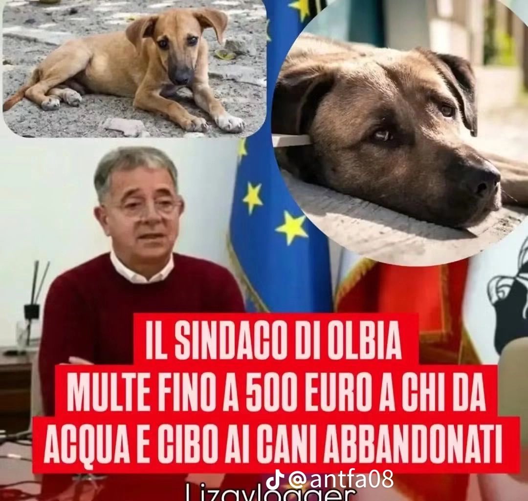 anna maria moscarell tweet media