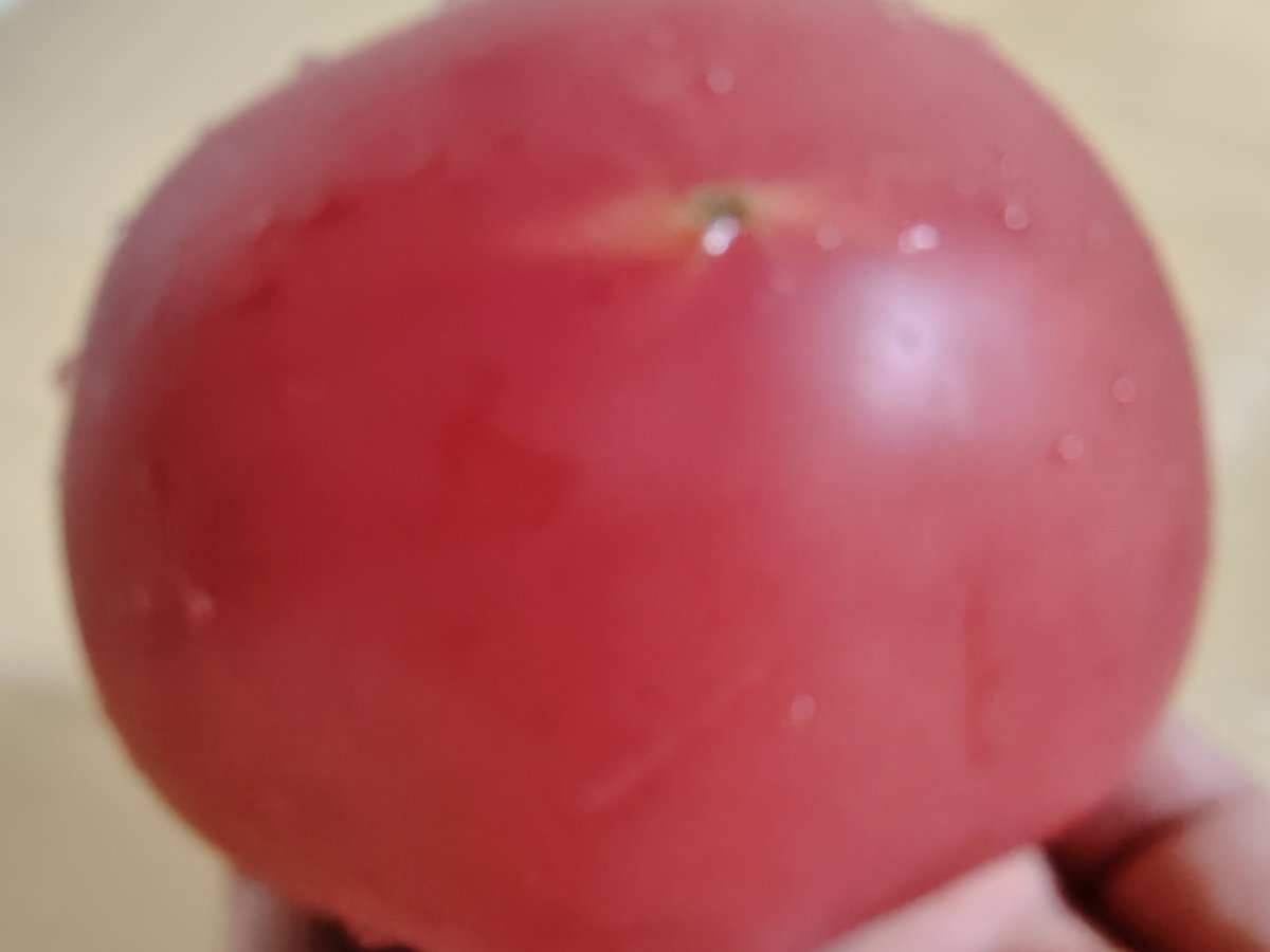 tomatooisi_bot's tweet photo. ﾑｼｬﾑｼｬ https://t.co/GUuIQP19F9