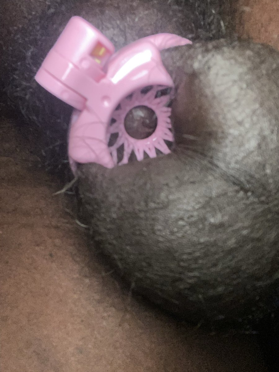 ploser's tweet photo. @spoilqueenjenny I had a flat cage. But I love the feel and look of an inverted cage. https://t.co/sQZomOzbLC