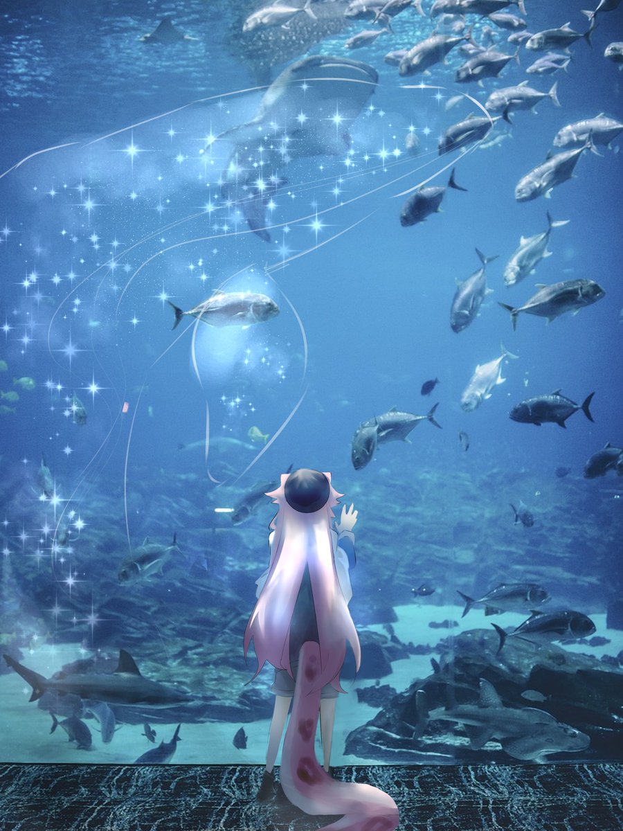 NazumaOiii's tweet photo. 🐟 https://t.co/t7US1X8TS1