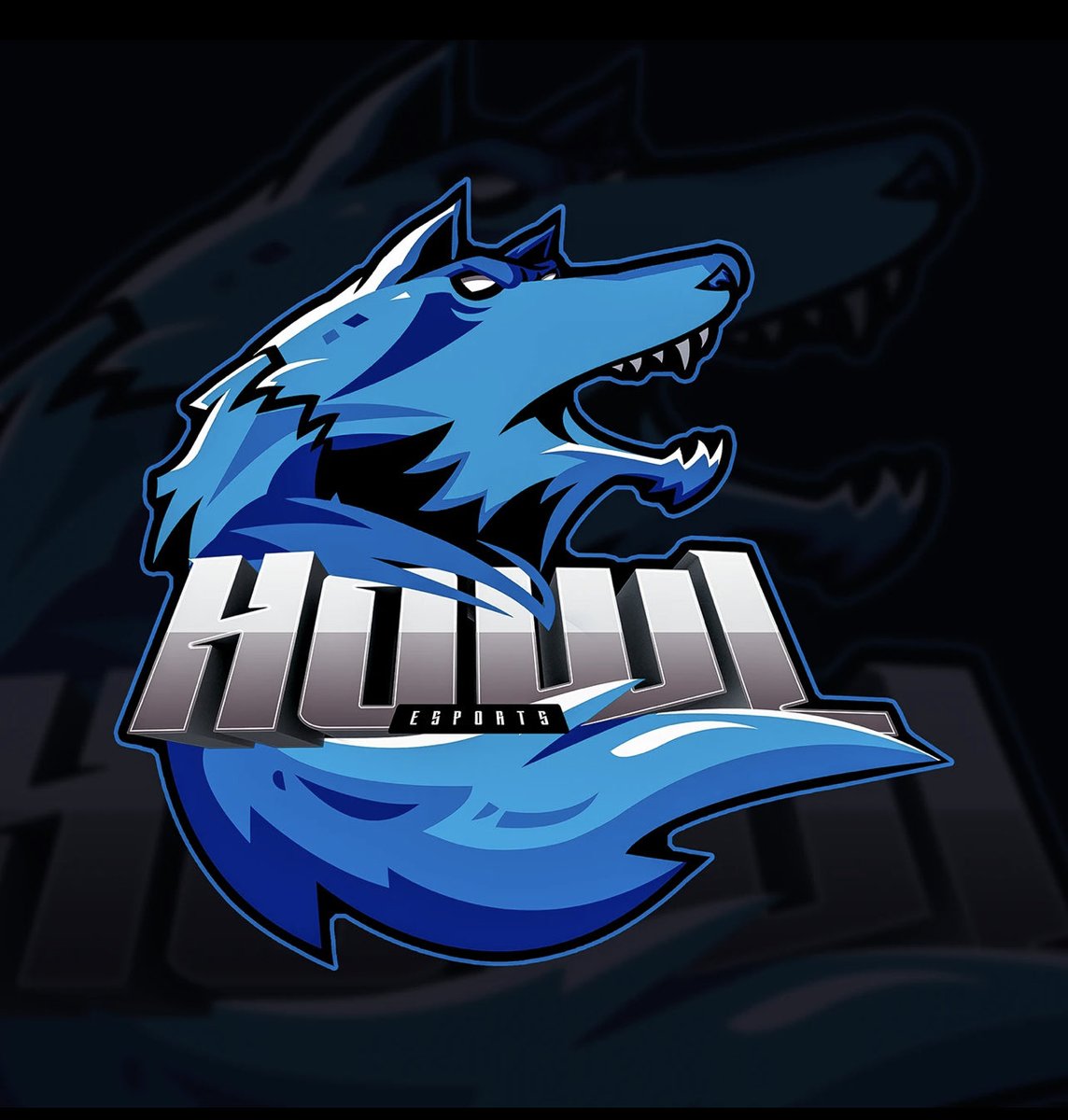 TechosolBuilds's tweet photo. @Mr_BIuee Sure ! Why not . Feel free to dm. https://t.co/HIPH2O2vG2