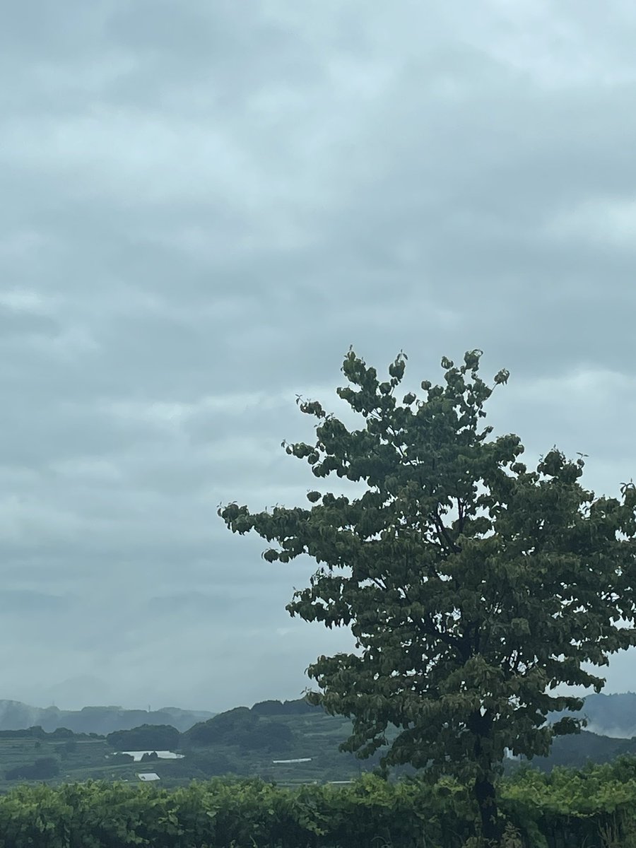 mavicphantom's tweet photo. おはようございます

木曜日

今日は会社
ヤスミマス https://t.co/4mZL0TIpzO