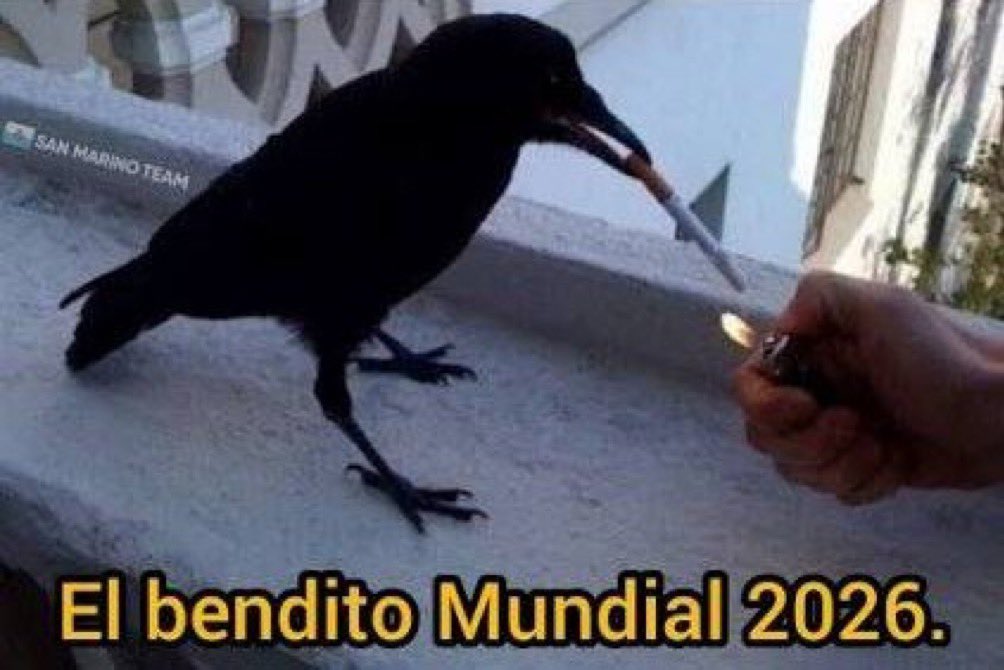 Babi tweet media