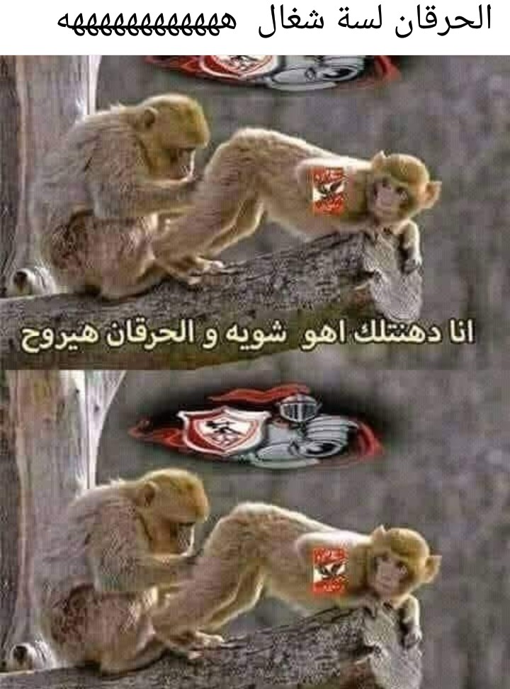 Sherefmn243yah2's tweet photo. @_hanin14 🤣🤣🤣 https://t.co/CtT2yknH08