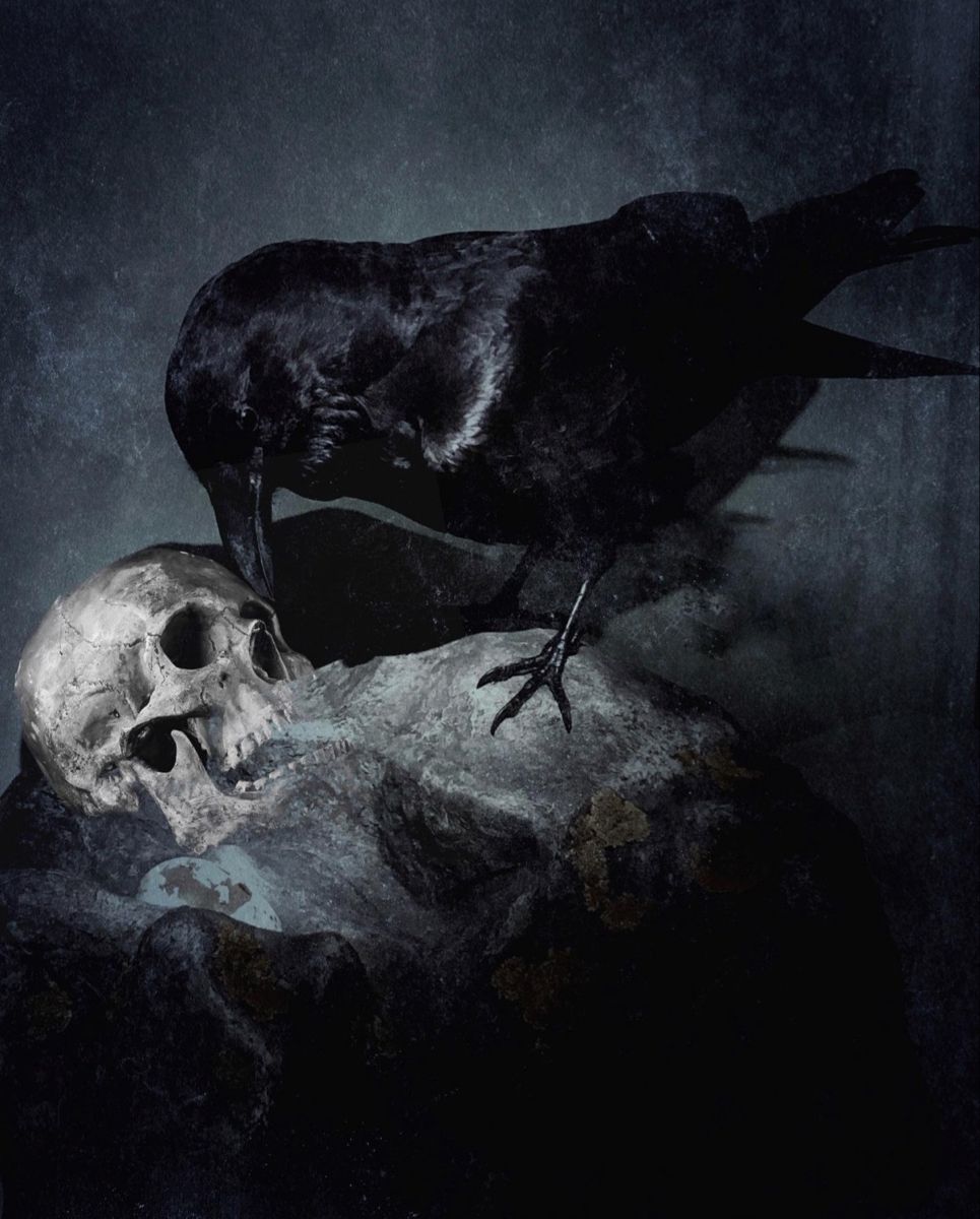 darkdreamvibe's tweet photo. https://t.co/BizWfs6tCc