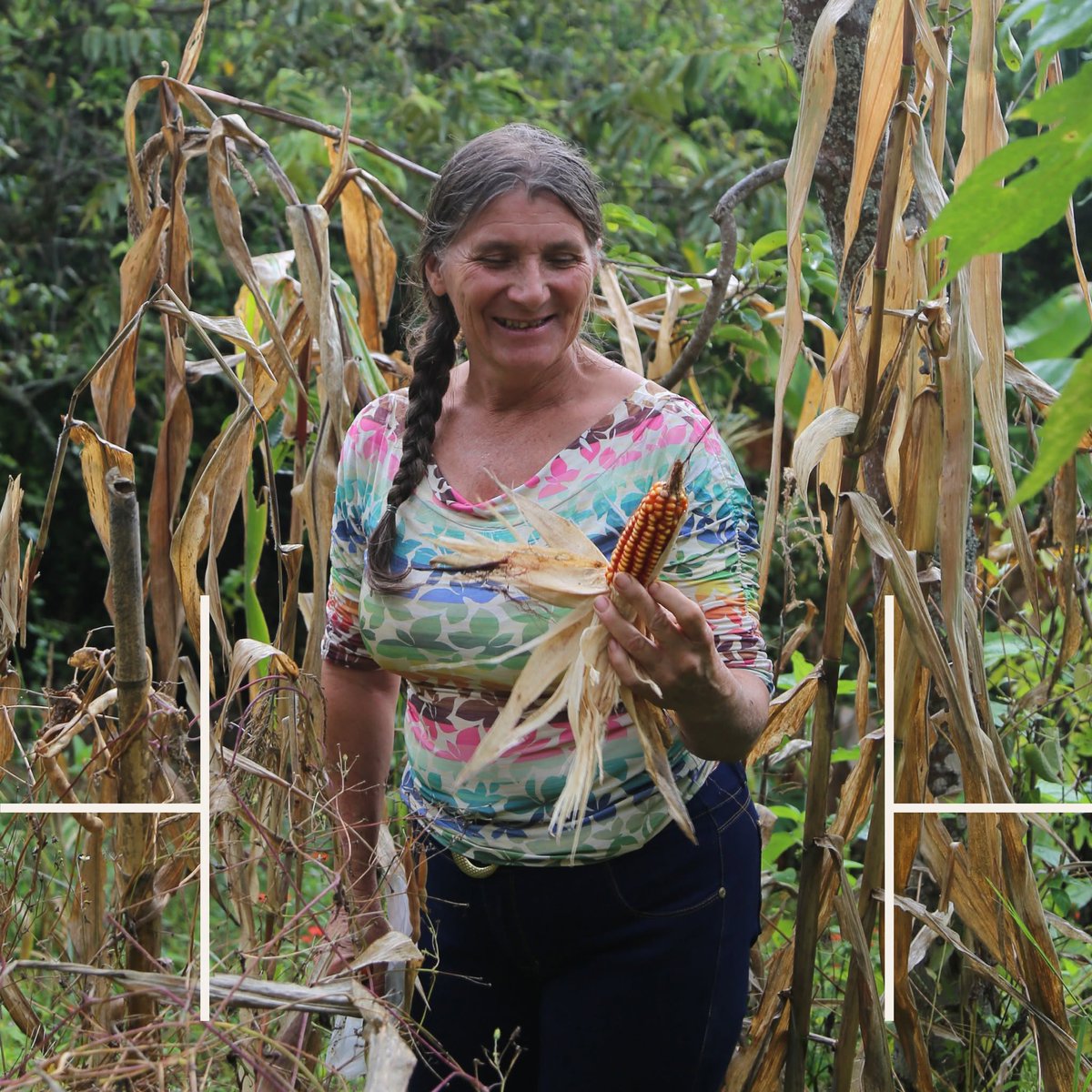 TheHALOCol's tweet photo. ¡Tenemos una nueva imagen, pero la misma misión! 💙 Presentamos la nueva identidad de marca de HALO Colombia: una evolución que refleja nuestro compromiso de salvar vidas, devolver tierras seguras y construir comunidades más seguras. Conócela aquí: https://t.co/cRXv6clWv0 🇨🇴 https://t.co/AepXgi1SHh