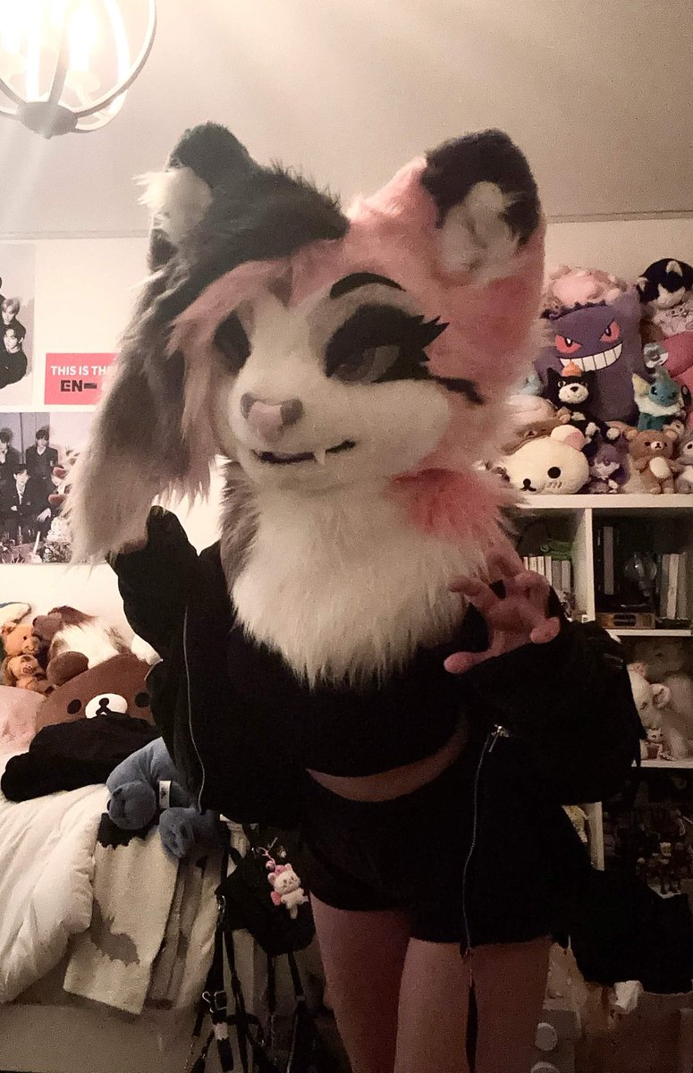 VampireOuija's tweet photo. How to find me at AC!
I will be wearing this big pink kitty here (either fullsuiting or partialling!)

DO✅:
Ask for hugs
Ask for/Take photos
Invite to parties

DONT❌:
Touch without consent
Lift me
Follow me or my group

I’m excited to meet everyone! :3 💕 https://t.co/amo6HaEb8t