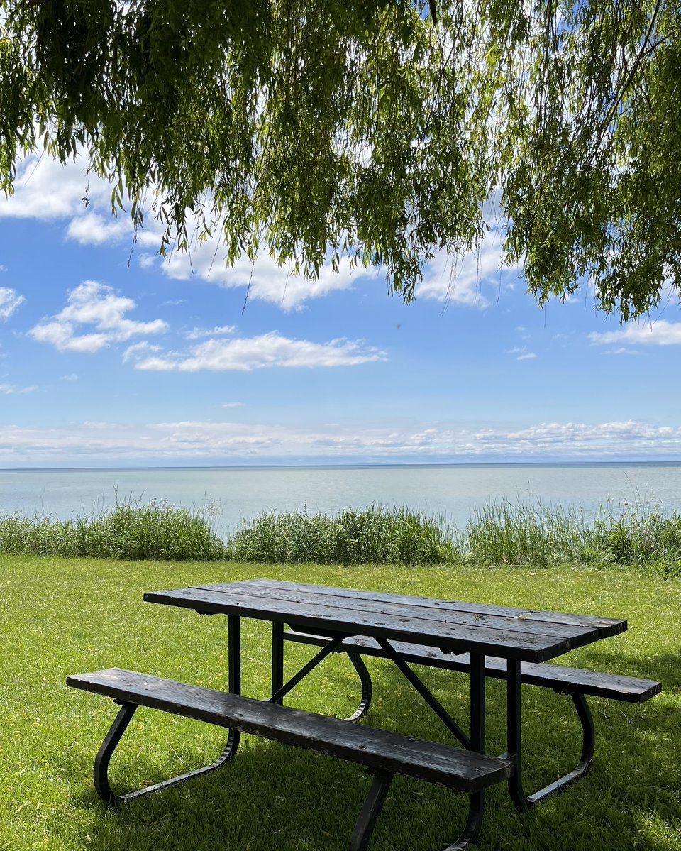 selkirkpp's tweet photo. 💚 Our park is the best because of our day use area! 

☀️ The grassy day use area has trees, picnic tables, and a beautiful view of the lake to enjoy!

🧺 Plus, July is Picnic Month! Selkirk is the perfect place to take a hike, go to the beach, and have a picnic. 🌳

#DiscoverOP https://t.co/GxkIahHBQp