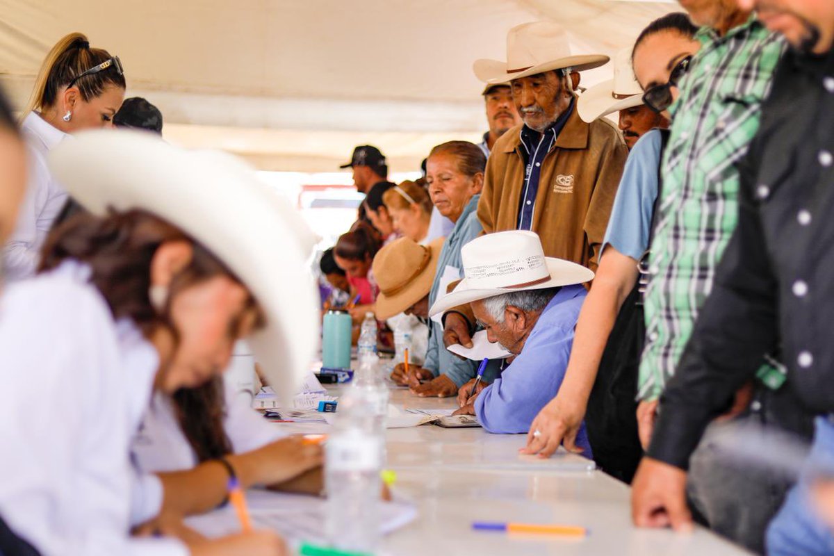 DurangoCap's tweet photo. ¡El campo es el corazón de Durango! 🤠🤝🏻

Junto a 28 municipios, entregamos 4 mil 500 toneladas de semilla de avena para beneficiar a más de 15 mil productores y 45 mil hectáreas. 🤩🌾

En equipo con el gobernador @EVillegasV, avanzamos ¡Al 100 con Campo duranguense! https://t.co/FwvGiKiESC