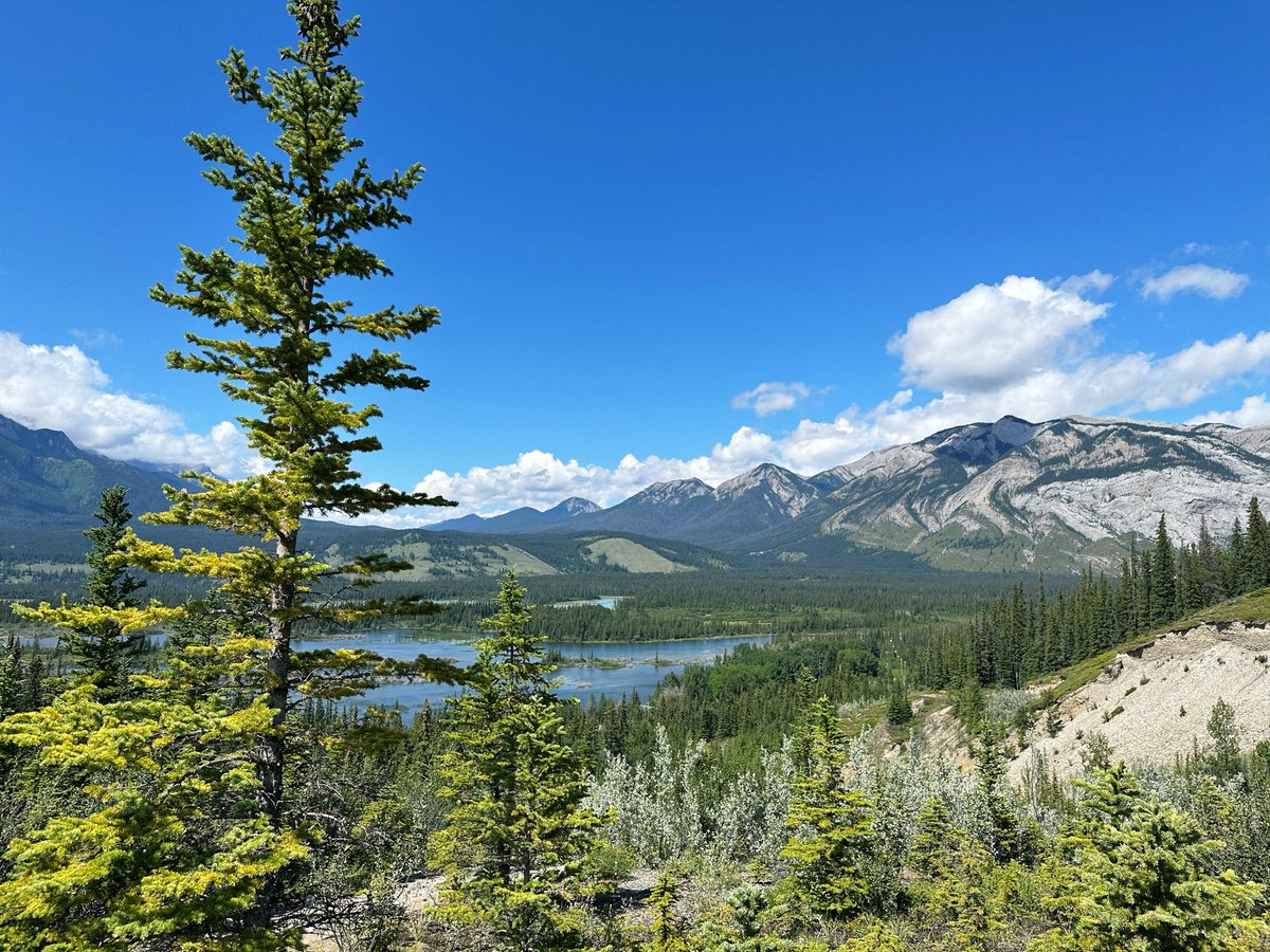CottontailVA's tweet photo. happy canada day !!

 I LOVE BEING CANADIAN YAYAYAYAYYAAA !! 🇨🇦🍁🇨🇦🍁 https://t.co/PtltiApcW2